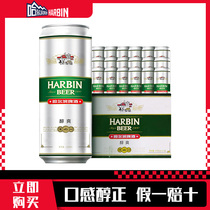哈尔滨（Harbin）啤酒经典醇爽500ml*18听整箱量贩易拉罐罐装新鲜
