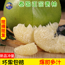 航空空运】泰国青柚高端品种柚子进口新鲜水果白糖蜜柚白心青皮柚