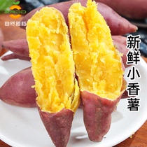海南小香薯新鲜2.25kg小地瓜板栗红薯番薯蜜薯
