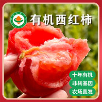 浪浪仙有机西红柿自然熟番茄0农残蔬菜