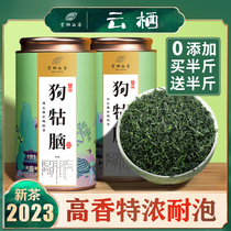 江西遂川狗牯脑绿茶2023年新茶叶炒青罐装特级绿茶狗枯狜骨茶500g