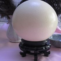 鸵鸟蛋壳底座驼鸟鸸鹋蛋雕工艺品摆放蛋托水晶球石头葫芦托盘架子
