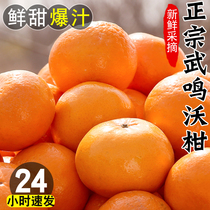 正宗广西新鲜超甜沃柑10水果应季当季整箱批发桔子柑橘现摘橘子