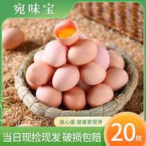 宛味宝初生蛋40枚*40g新鲜鸡蛋农家散养柴鸡蛋10枚20枚