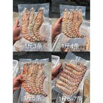 野生海捕特大斑节虾九节虾基围虾大虾竹节虾3-4条500g长25-30厘米