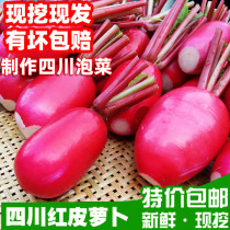 四川农家自种新鲜红皮萝卜胭脂萝卜5斤现摘白肉水萝卜做四川泡菜