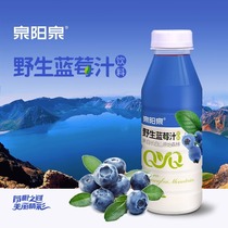 【U先试用】泉阳泉长白山野生蓝莓汁饮料420ml*3瓶体验整箱包邮