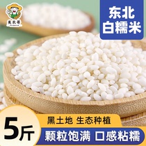 东北白糯米5斤2023农家自产新米圆粒江米酿酒包粽子专用粘黏大米