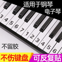 88键36钢琴键盘贴61健电子琴贴纸指法贴音标贴简谱标识贴无胶透明
