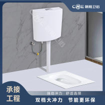 包邮朝阳卫浴双按挂墙式水箱大流量节水静音厕所蹲便器冲水箱T210