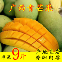 广西百色桂七芒果新鲜水果当季芒果现摘热带特产整箱10斤芒果包邮