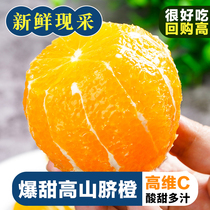 誉福园高山榨汁脐橙新鲜橙子9斤当季手剥整箱大果礼盒装包邮