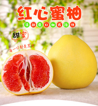 新鲜水果 包邮10斤蜜柚 福建平和琯溪红心柚子