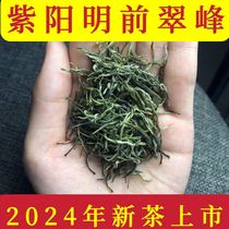 2024年新茶紫阳翠峰明前富硒产区紫阳茶高山绿茶陕西安康特产绿茶