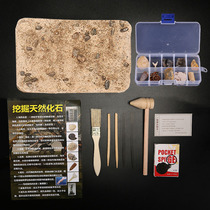 <em>古生物化石</em>考古挖掘玩具天然矿石原石水晶石学生科普教学标本礼物