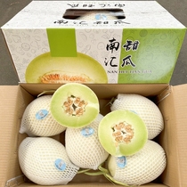 2024上海南汇玉菇甜瓜10斤礼盒装纯甜新鲜水果现摘哈香瓜密瓜包邮