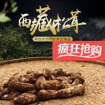 【顺丰包邮】新鲜松茸西藏林芝5-7cm规格松茸1公斤野生菌鲜菌