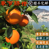 重庆市奉节脐橙草堂脐橙广柑橙子纽荷尔现摘现发孕妇新鲜水果包邮