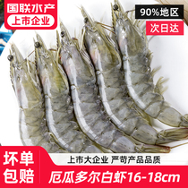 国联水产大虾鲜活速冻海虾生鲜虾类盐冻3040厄瓜多尔白虾南美白虾