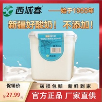 新疆老酸奶西域春酸牛奶大桶装2斤原味酸奶水果捞酸奶2斤4斤直邮