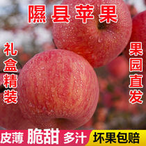 隰县洛川苹果红富士新鲜2023年新果包脆包甜现摘水果当季