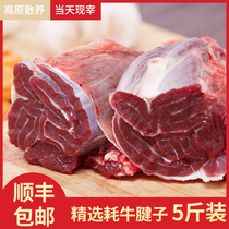 肃南国产高原牦牛肉新鲜牦牛腱子散养低脂健身牛肉纯瘦肉5斤装