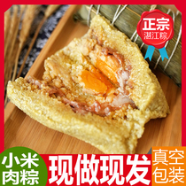 湛江粽子纯手工现做小米猪肉板栗粽蛋黄手工鲜肉粽独立真空包装