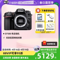 【自营】Nikon/尼康D7500单反相机单反d7500半画幅数码单机机身