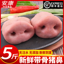 顺丰包邮冷冻新鲜猪鼻子5斤带骨猪拱嘴猪鼻梁包邮猪脸肉猪头肉