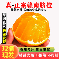 正宗江西橙子新鲜赣南脐橙产地直发当季水果现摘现发10斤特级大果