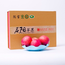 红富士苹果10斤新鲜水果当季整箱庆阳现季应季冰糖心鲜果包邮带箱