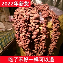朝阳特产野生红蘑菇干货自然晒整颗2022年新货东北松树伞蘑菇香菇