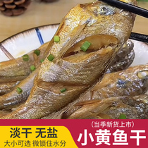 新鲜小黄鱼干温州特产梅子鱼东海鱼干野生水产干货500g海鲜家烧