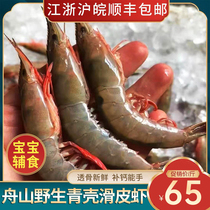 野生滑皮虾鲜活舟山宁波特产新鲜东海海捕海鲜深海生鲜冷冻青壳虾