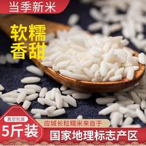 什湖应城长粒糯米新米5斤真空包粽子糍粑专用 白江米农家酿酒香粘