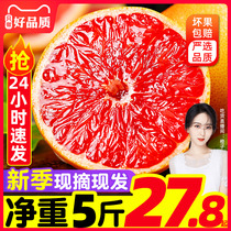 福建红心西柚5斤包邮鲜果新鲜当季孕妇水果国产大红肉葡萄柚子