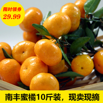 南丰蜜桔桔子甜小蜜橘应季水果5斤10斤无货无货无货