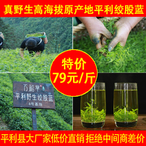 2024新茶500g平利绞股蓝官方正品野生特五叶七叶级胶股蓝茶龙须茶