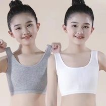 双层中小学生女孩抹胸无钢圈裹胸8-16岁女童纯棉发育期小背心内衣