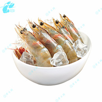 天津海虾冷冻海产品基围虾对虾琵琶虾大个新鲜活精品同城水产闪送