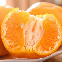 农家自种精品衢州椪柑橘子不打蜡纯天然孕妇水果新鲜甘甜可口包邮