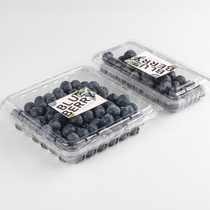 一次性蓝莓盒加厚透明透气塑料方形包装盒树莓桑葚杨梅125g水果盒