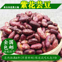 新豆 紫花芸豆 东北佳木斯农家自产红芸豆花皮饭豆大粒花腰豆