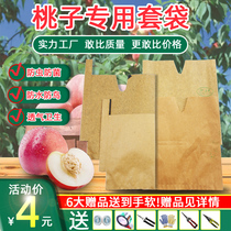 桃子专用套袋水蜜桃冬桃蟠桃黄桃专用纸袋防鸟虫桃子专用果树套袋