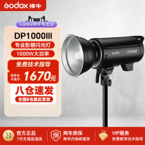 godox神牛DP1000III影室灯专业摄影闪光灯1000w三代拍照拍摄室内影棚摄影灯套装