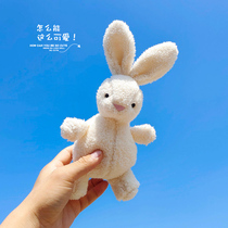 小兔子毛绒玩具布娃娃小白兔公仔迷你玩偶超萌可爱女孩兔年吉祥物