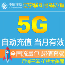 辽宁移动流量充值 全国5G流量当月有效 手机叠加油包2g3g4g通用QZ