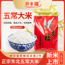 2023年新米醉香福五常大米稻花香大米5kg黑龙江大米10斤东北大米
