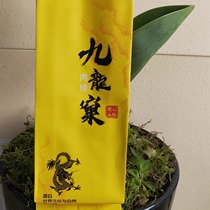 正岩肉桂茶九龙窠肉桂武夷岩茶浓香型