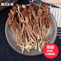 茶树菇干货剪脚茶树菇云南特产食用菌蘑菇炖汤菌菇